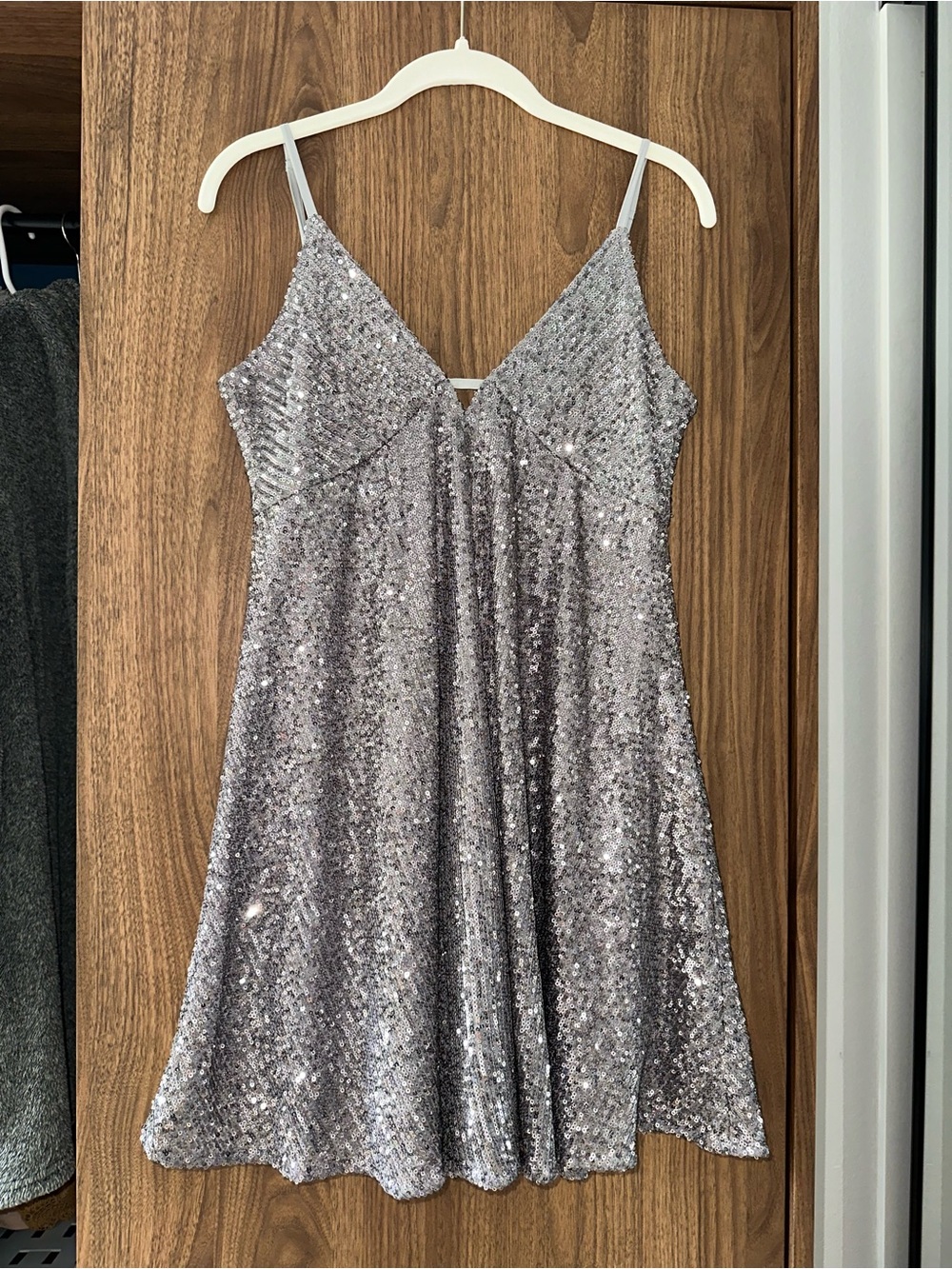 Baltic Born Silver Sequin Mini Dress